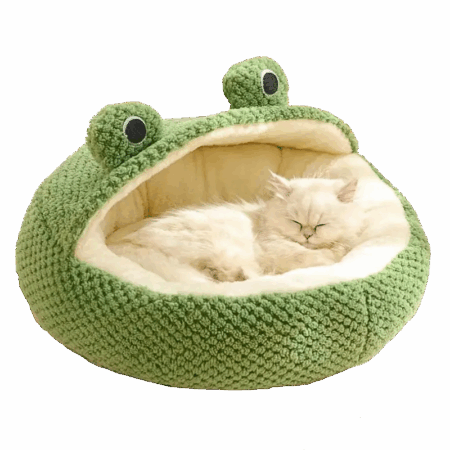 Béka macskakuckó