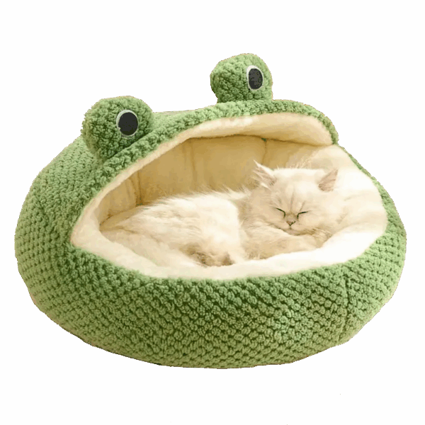 Béka macskakuckó