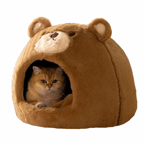 Mackó macskakuckó