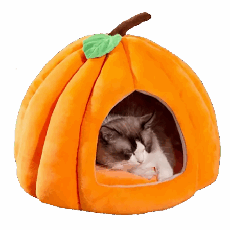 Tök macskakuckó